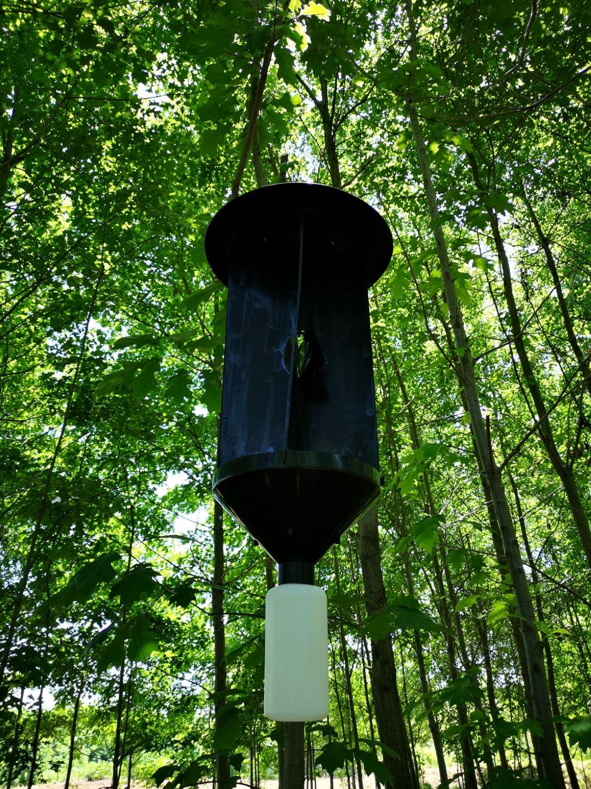 挂放性诱捕器.jpg 挂放性诱捕器.jpg