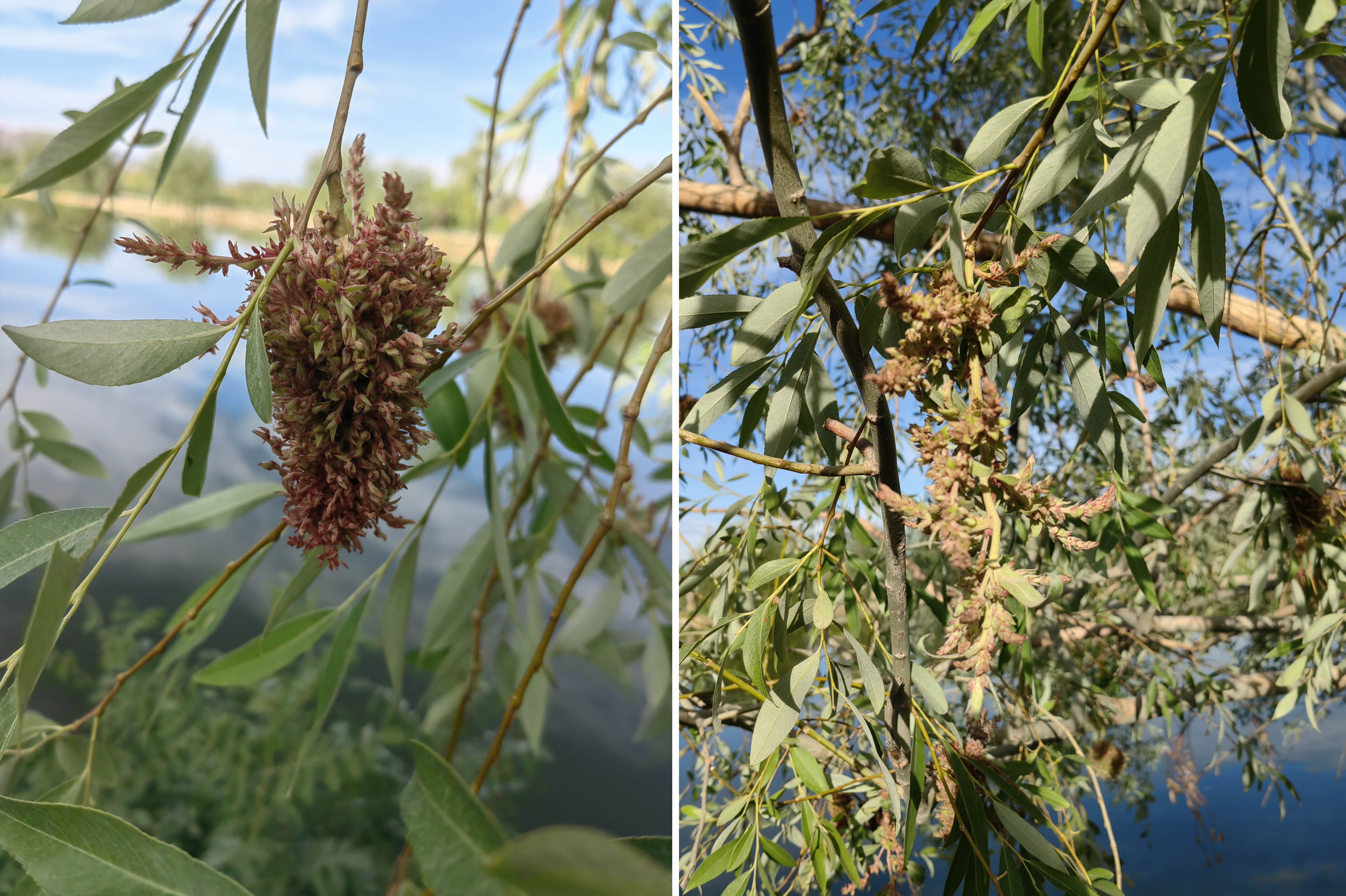 665e84b59c786.jpg 665e84b59c786.jpg